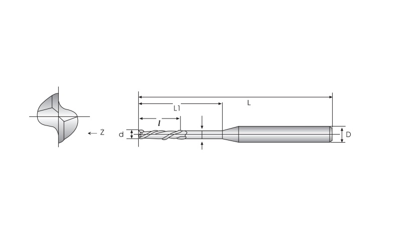 Long Neck Square Type - 2 Flutes